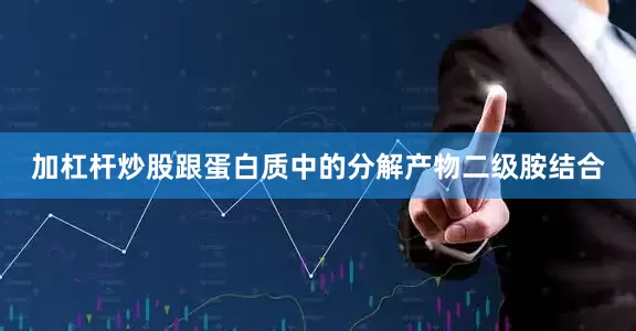 加杠杆炒股跟蛋白质中的分解产物二级胺结合