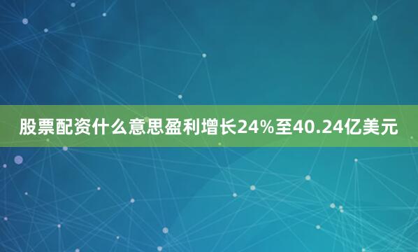 股票配资什么意思盈利增长24%至40.24亿美元