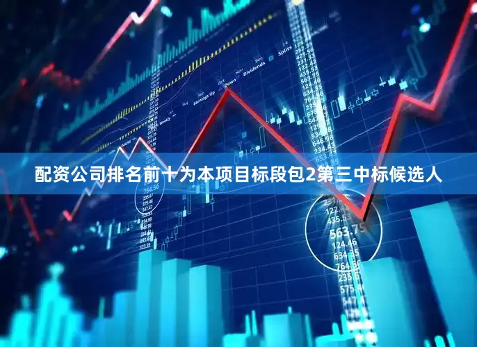 配资公司排名前十为本项目标段包2第三中标候选人